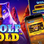 🎮Rahasia Menang Besar di Games WOLF GOLD Pragmatic Play 2025🚀