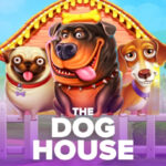 🚀Rasakan Sensasi Menang Besar di The Dog House Slot Gacor Bebtoto🚀